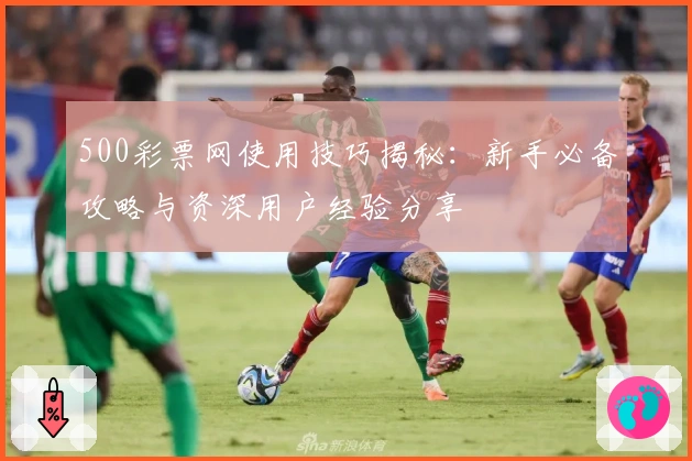 500彩票网使用技巧揭秘：新手必备攻略与资深用户经验分享