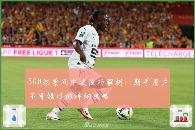 500彩票网中奖技巧解析，新手用户不可错过的详细攻略