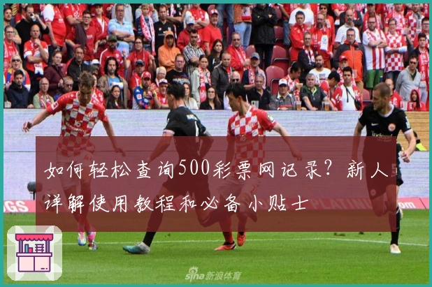 如何轻松查询500彩票网记录？新人详解使用教程和必备小贴士